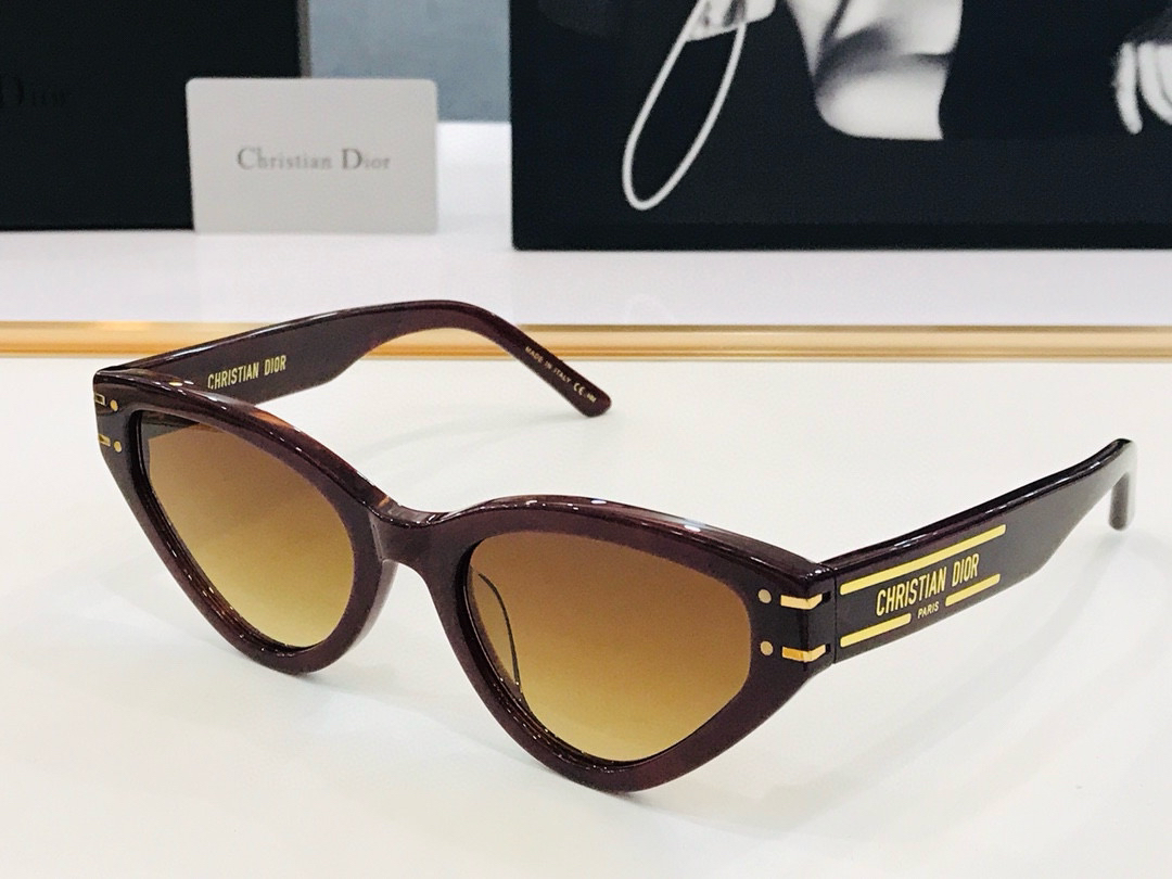 DIOR Sunglasses