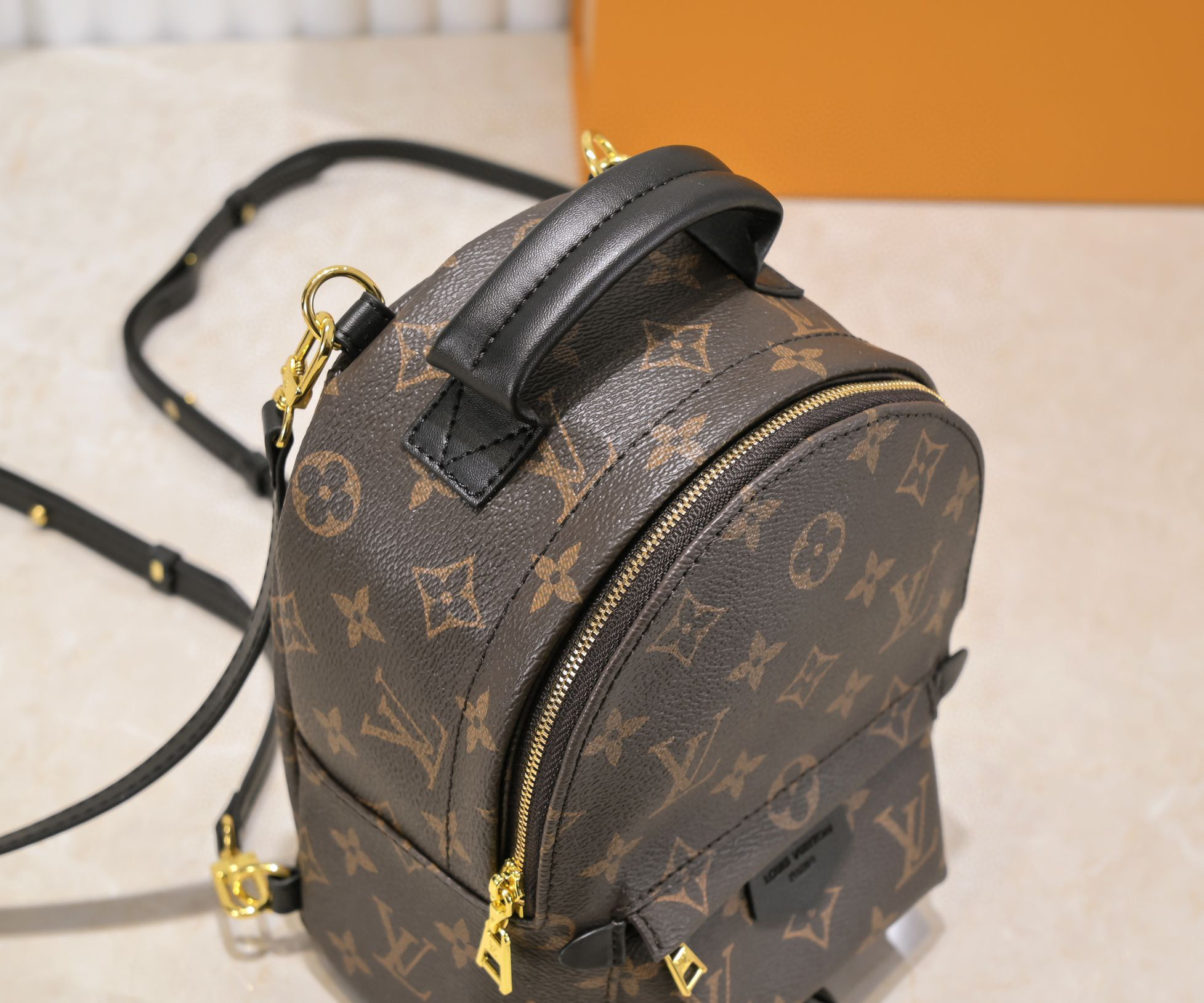 LV Mini Backpack