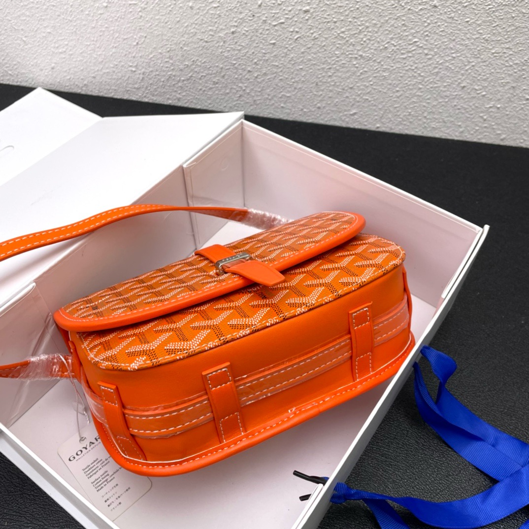 Goyard Saddle bag