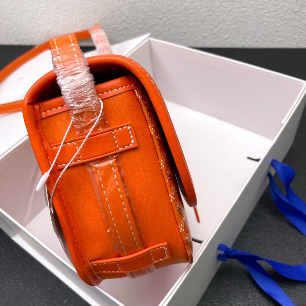 Goyard Saddle bag