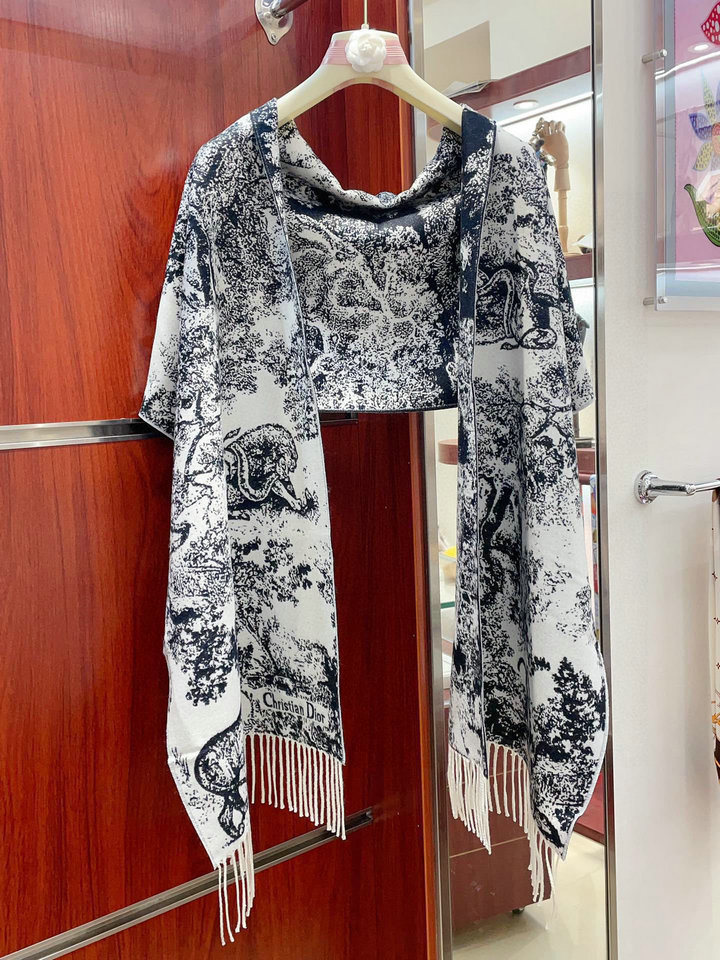 DIOR  Scarf