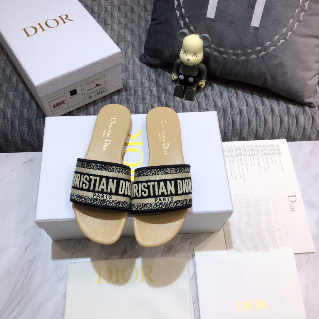 DIOR SLIDES