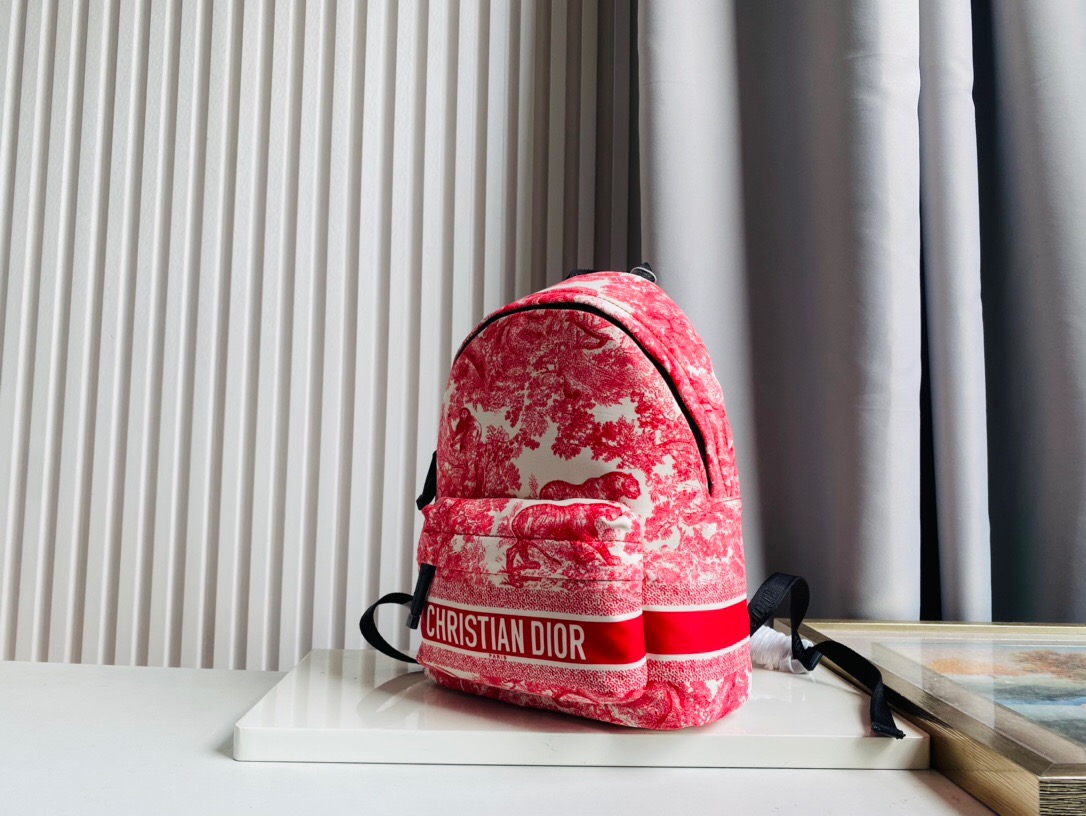 DIOR BAG