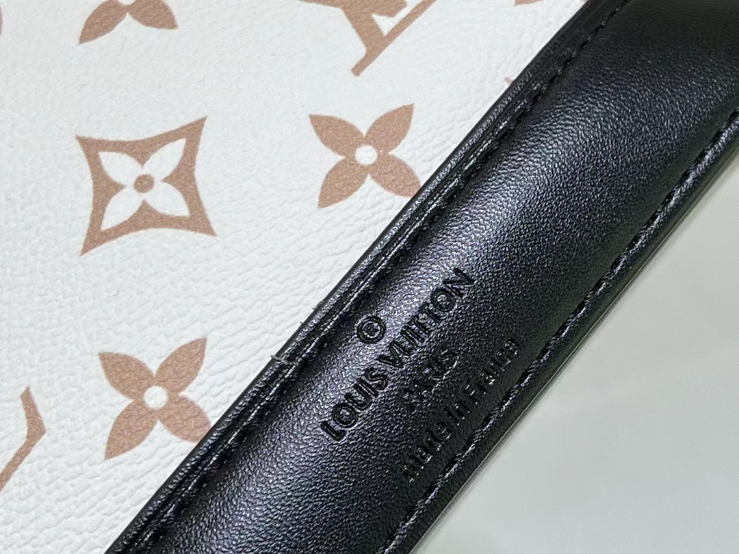Louis Vuitton new launch nano alma bag