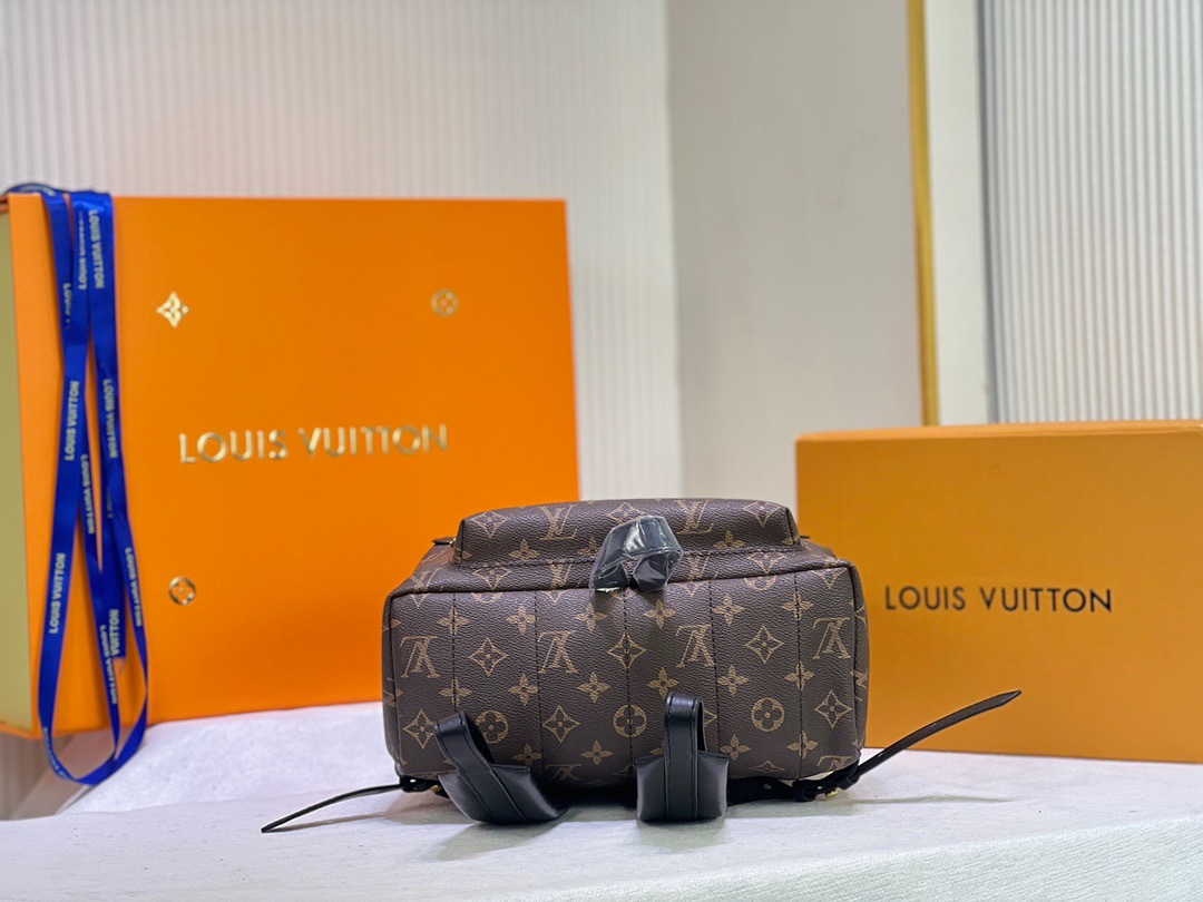 LV Backpack (33cm)