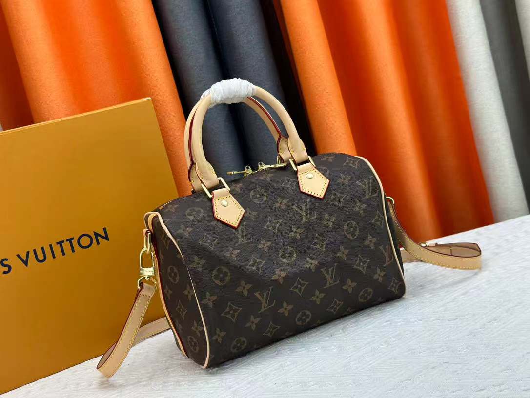 LV Speedy Bag (30cm)