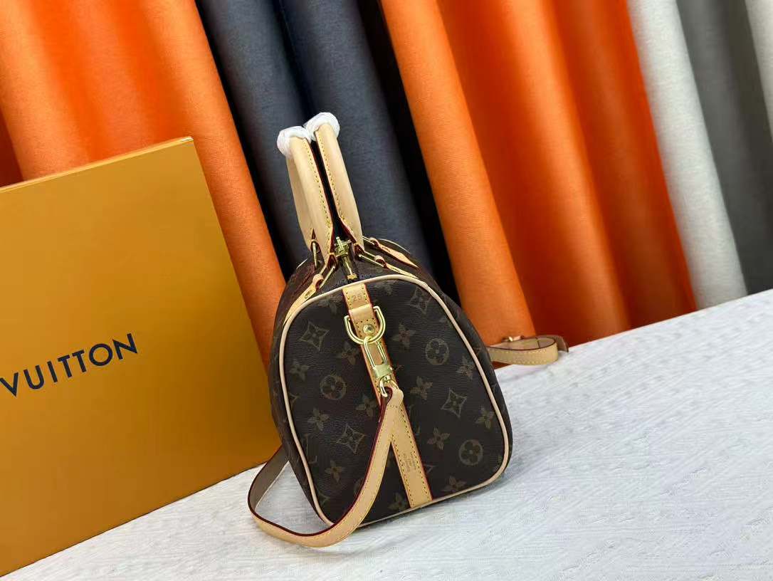 LV Speedy Bag (30cm)