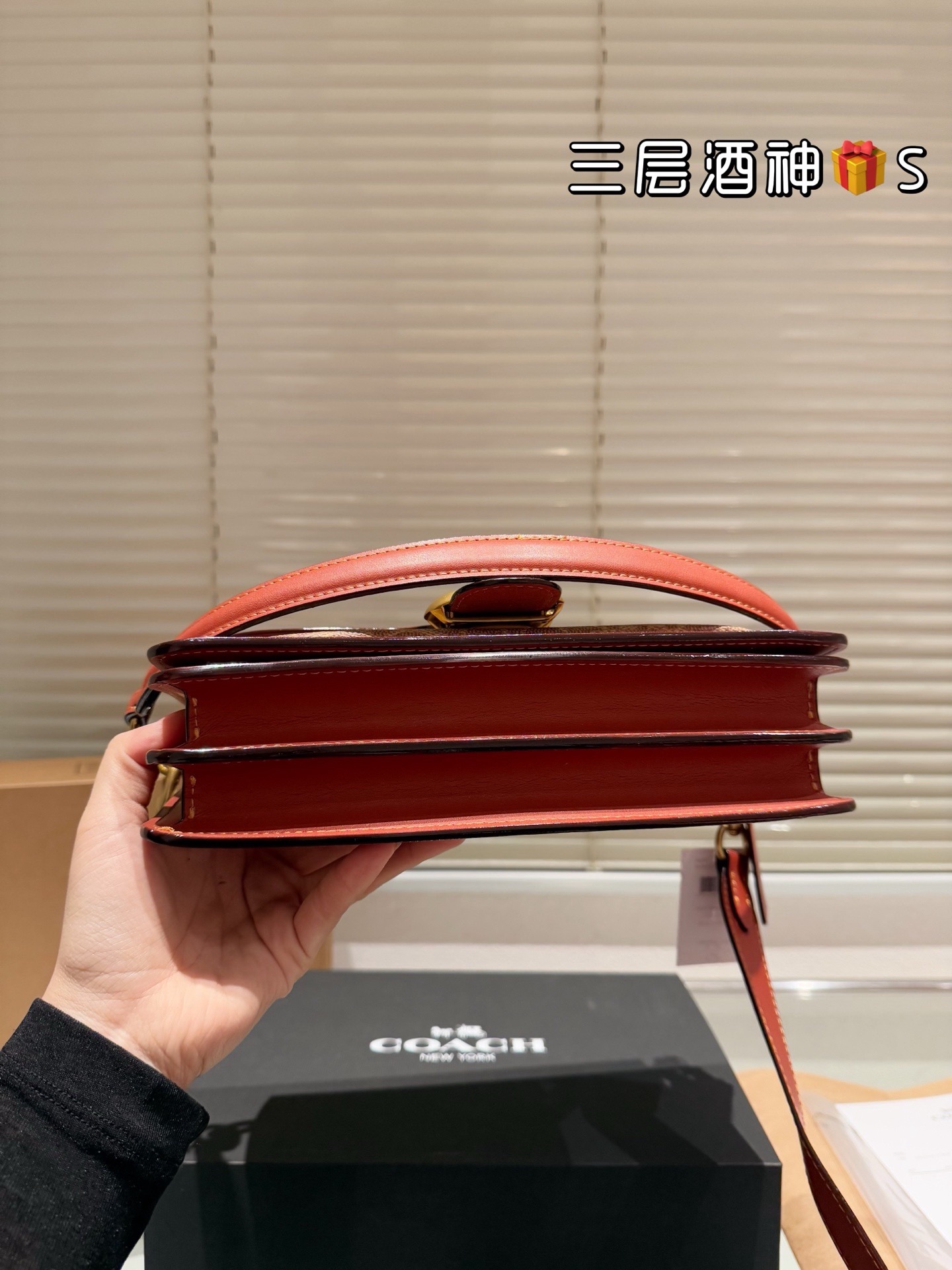 Coach Handbag（26cm）