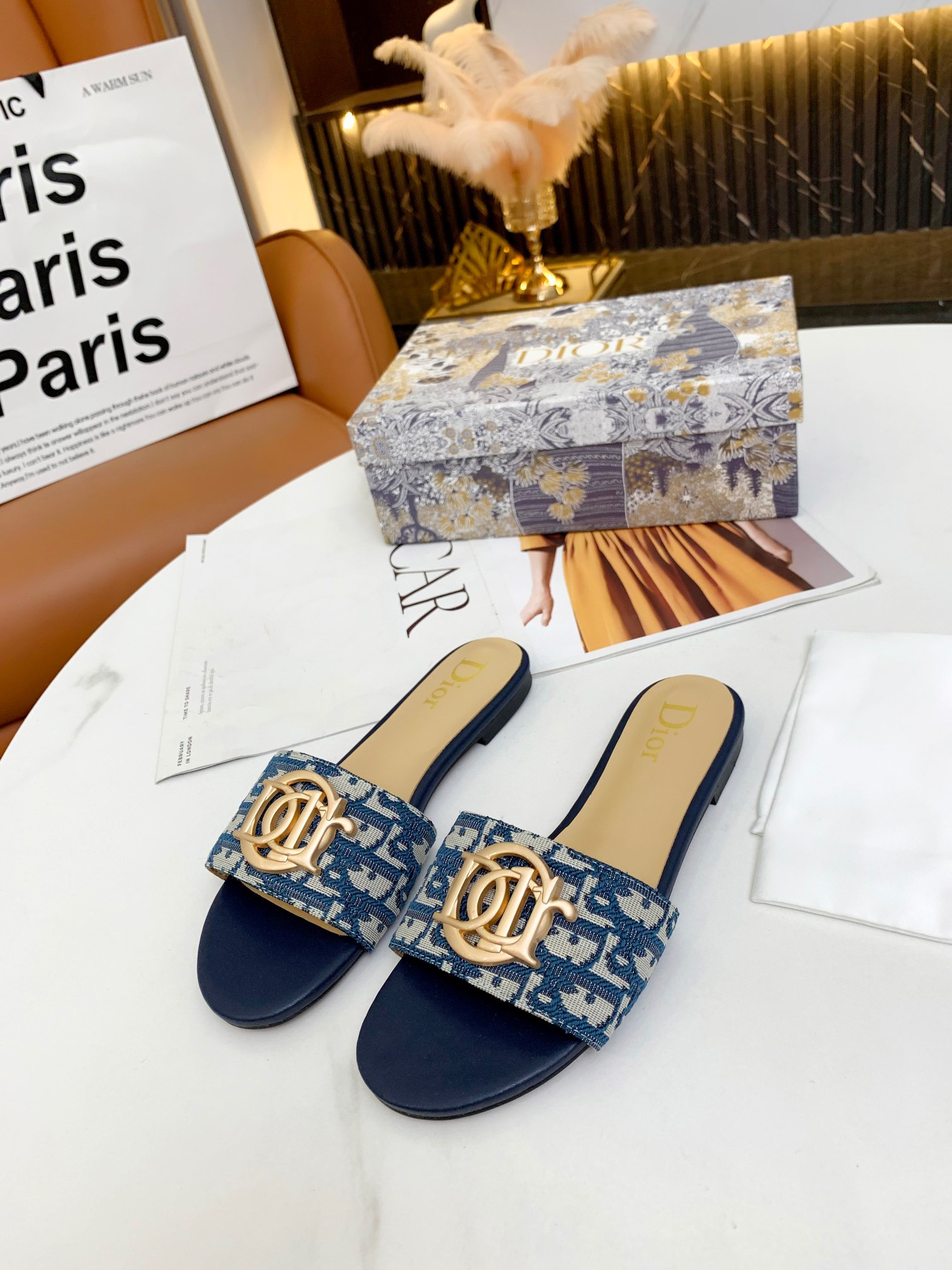 DIOR Slides
