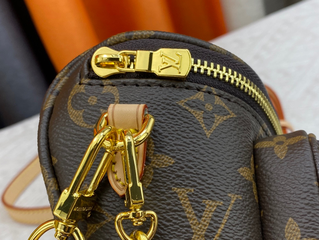 LV Mini Bumbag