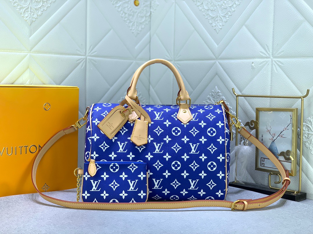 LV Speed Handbag