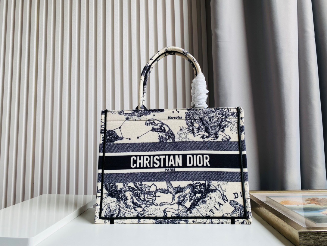 DIOR BAG