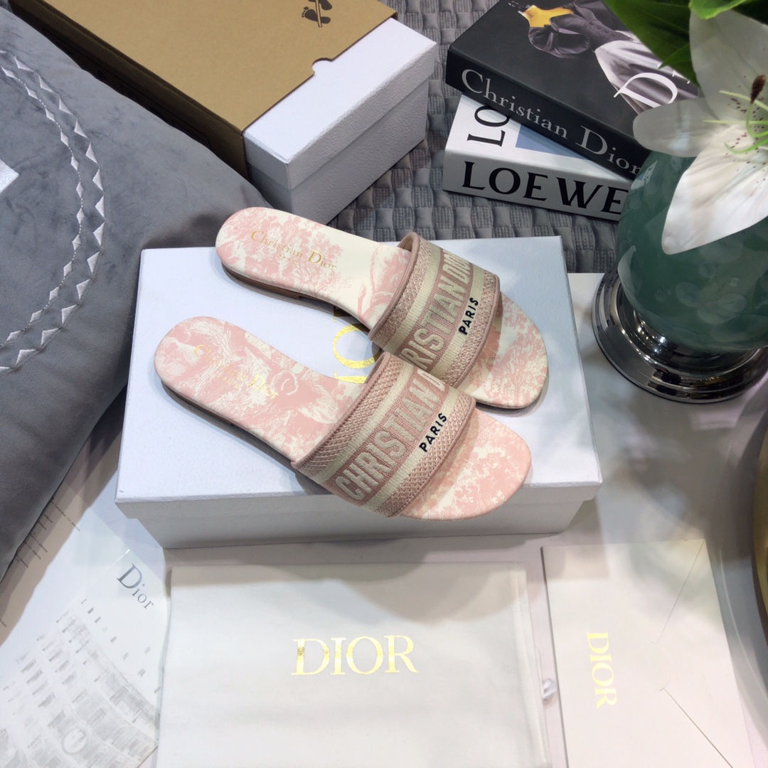 DIOR SLIDES