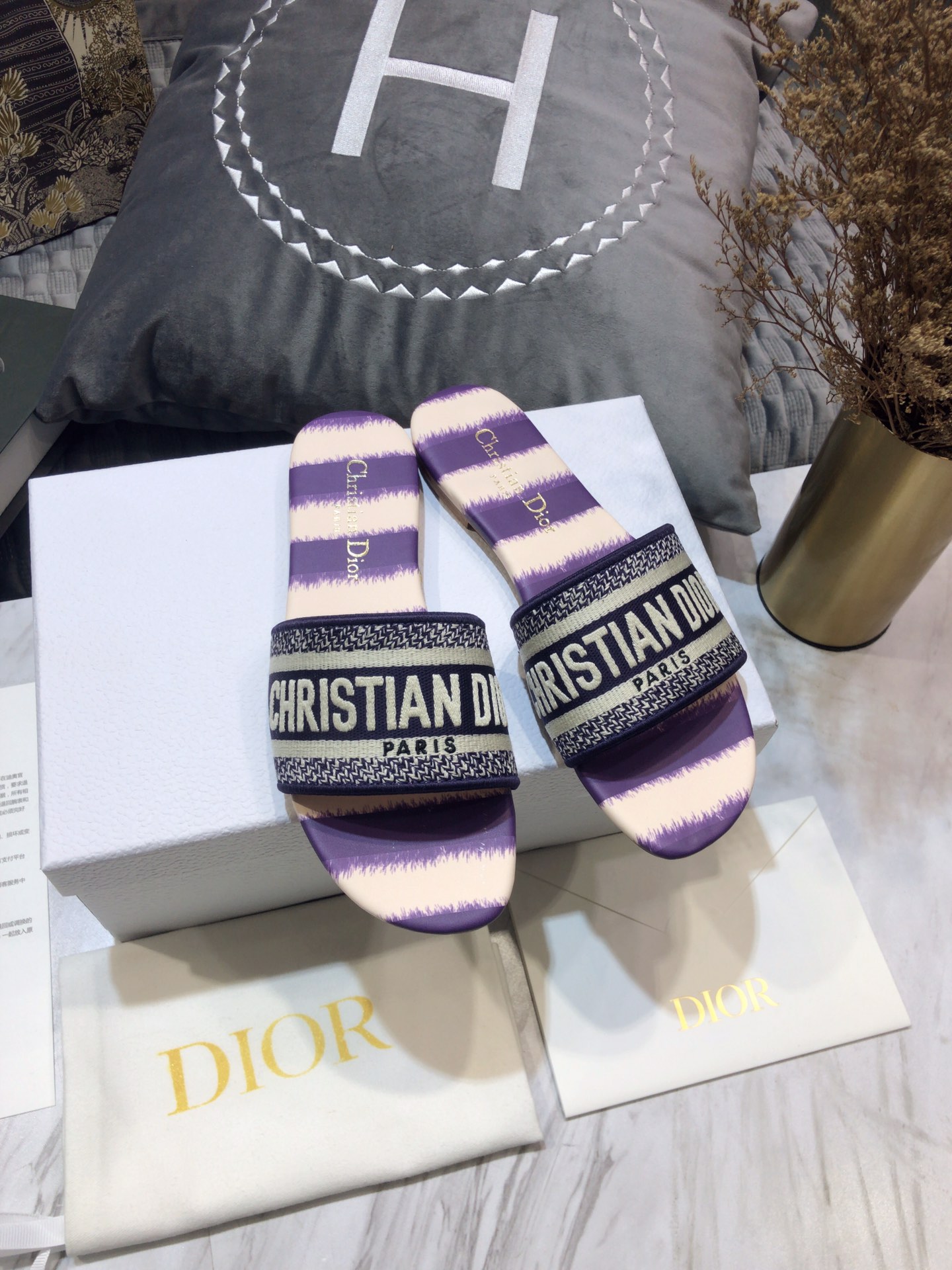 DIOR SLIDES