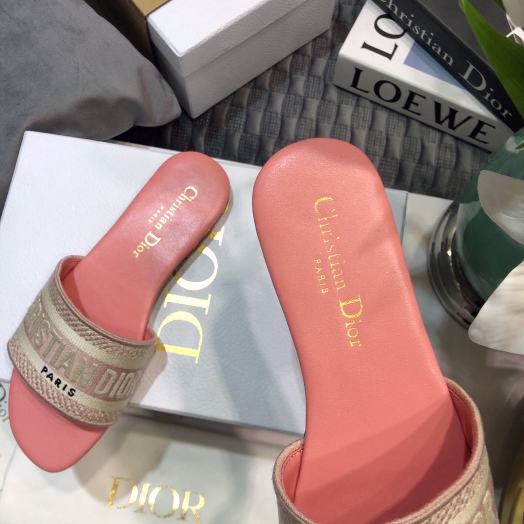 DIOR SLIDES