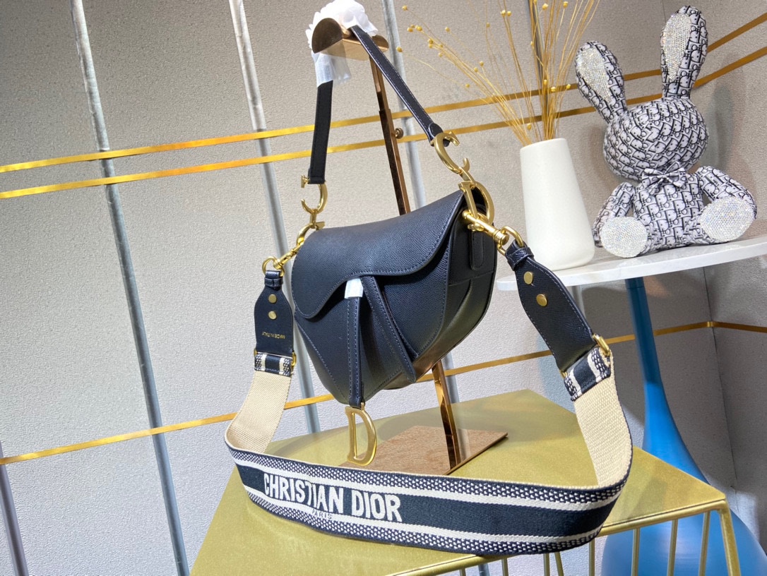 DIOR CD SADDLE BAG