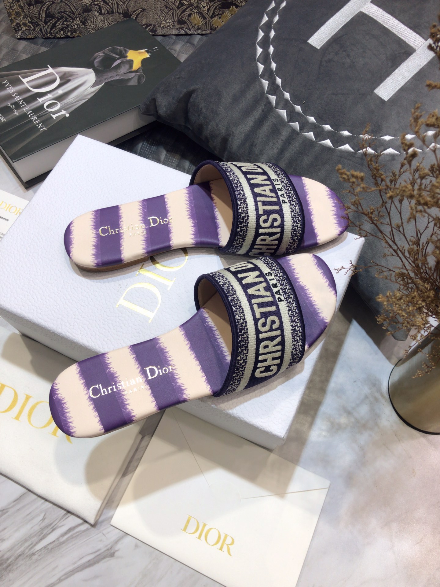 DIOR SLIDES
