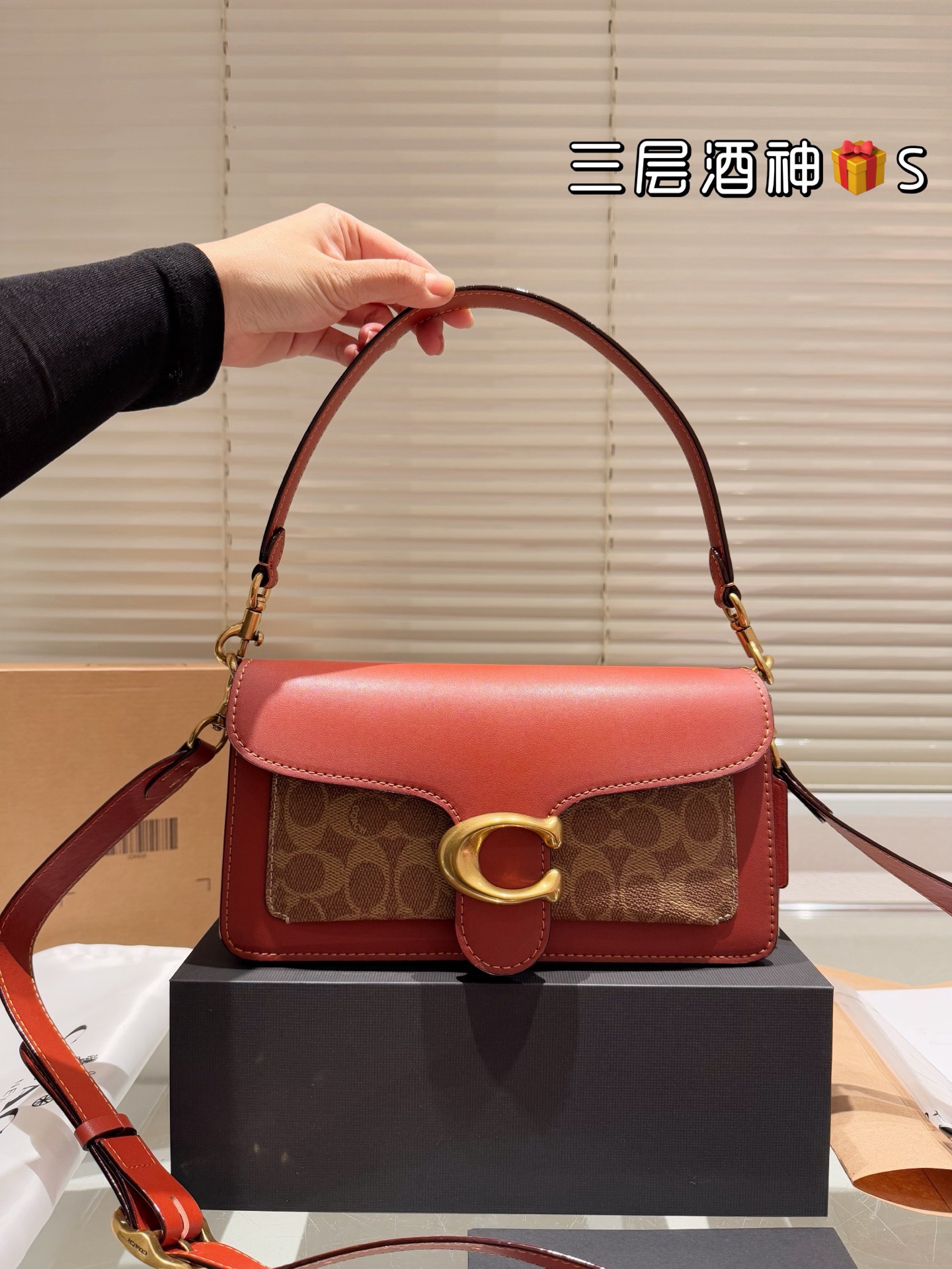 Coach Handbag（26cm）