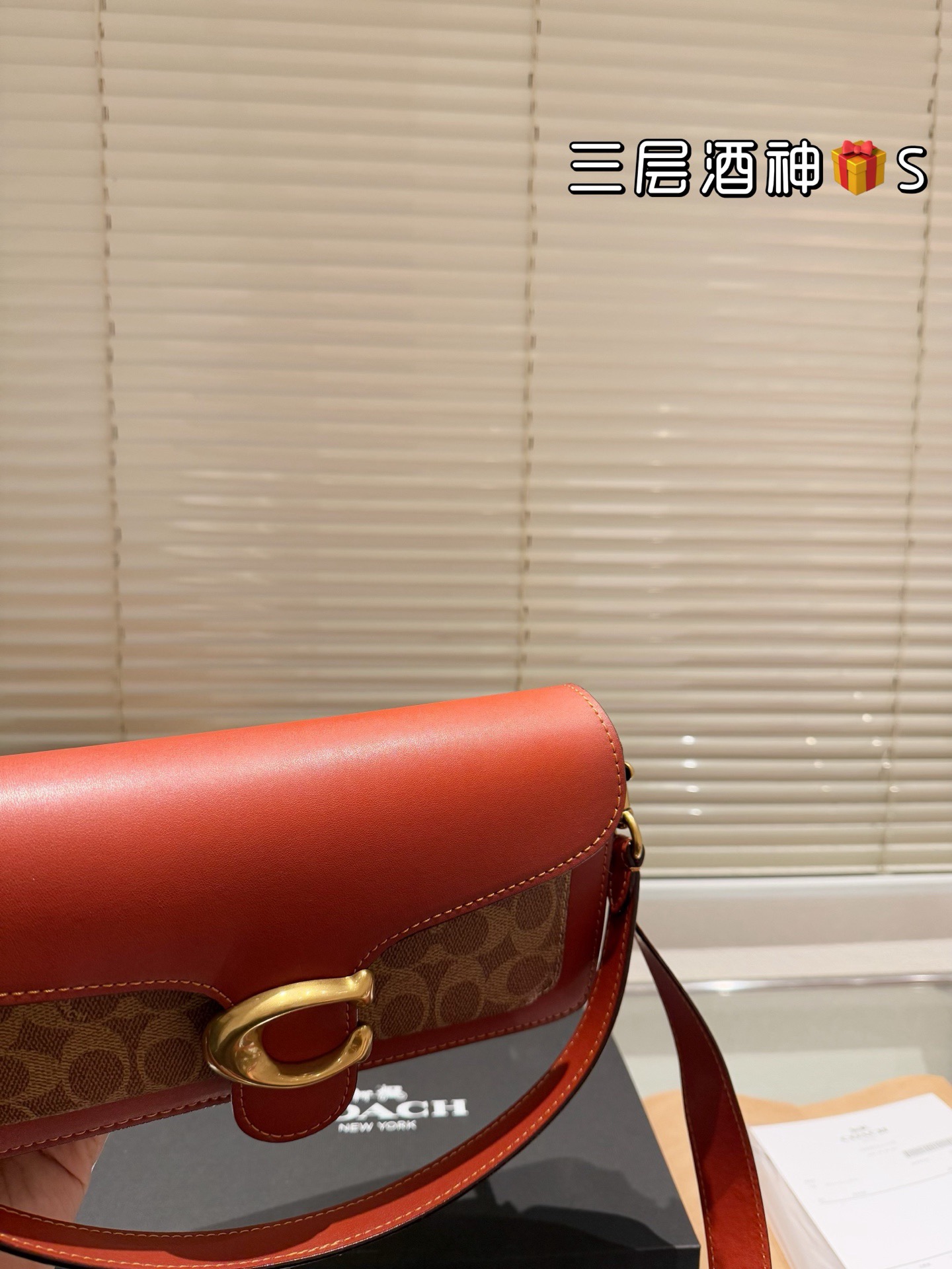 Coach Handbag（26cm）